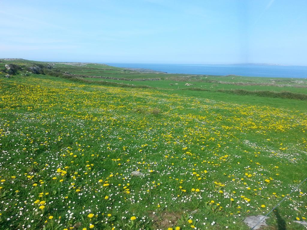 Aille River Tourist Hostel And Camping Doolin Εξωτερικό φωτογραφία